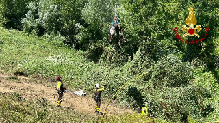 Amandola - Cavallo cade in un dirupo: recuperato dopo una notte di lavoro dei vigili del fuoco